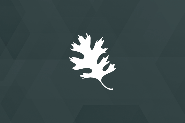 ORNL logo placeholder for RectifHyd