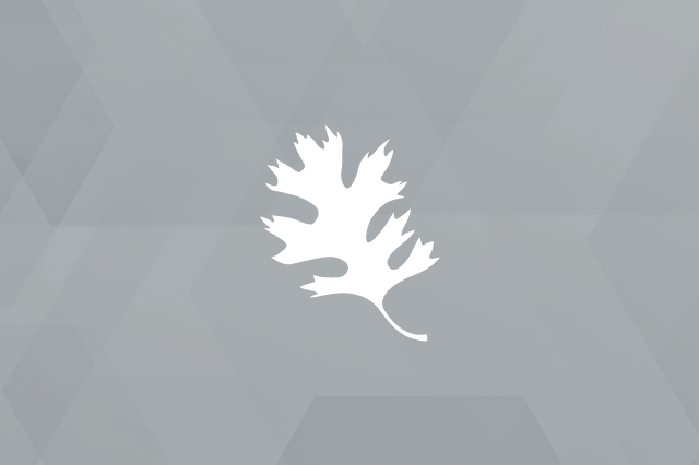 ORNL logo placeholder for RectifHydPlus: Forty Year Hydropower Generation Reanalysis for Conterminous United States
