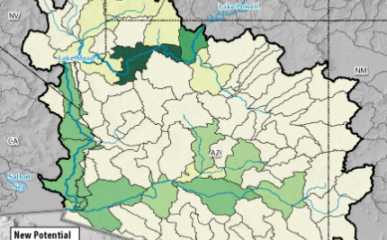 Hydropower Potential from New Stream-Reach Development for Lower Colorado Region