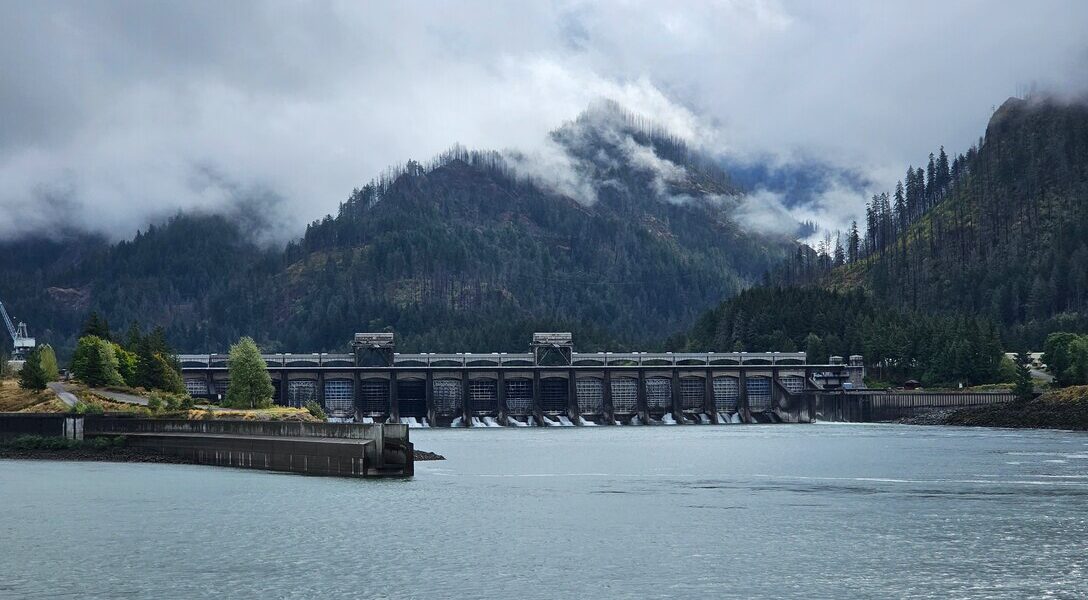 HydroSource Releases AI-Enhanced Database of Environmental Mitigation Measures for Hydropower Licenses featured image