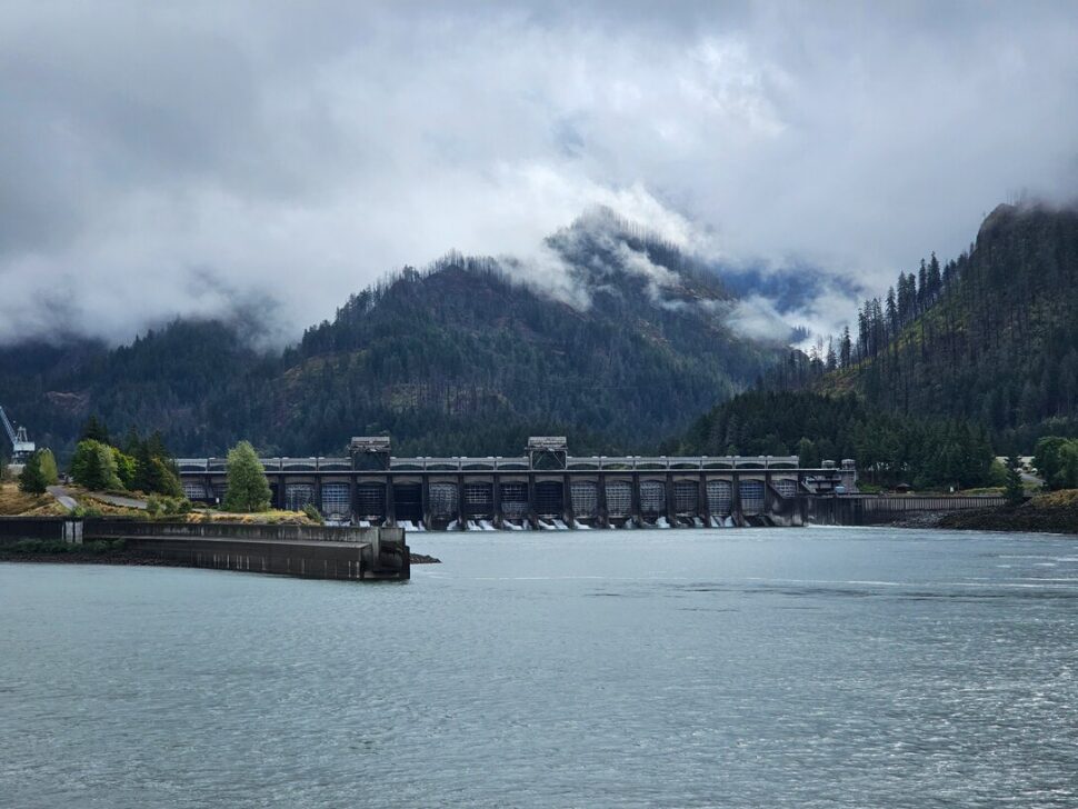 Featured image for HydroSource Releases AI-Enhanced Database of Environmental Mitigation Measures for Hydropower Licenses